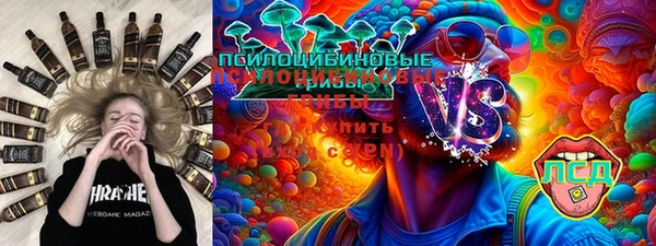 ПСИЛОЦИБИНОВЫЕ ГРИБЫ Армянск
