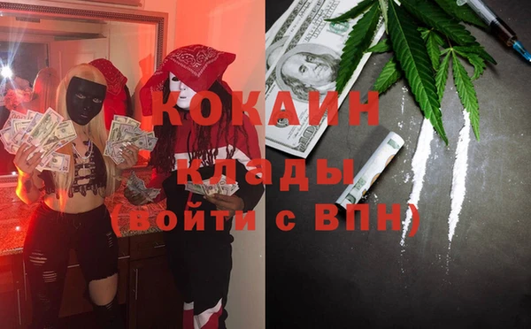 гидра Арсеньев
