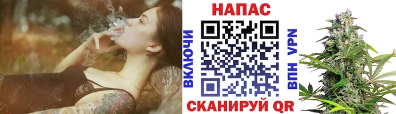 где найти наркотики  Мурманск  Канабис тримм 